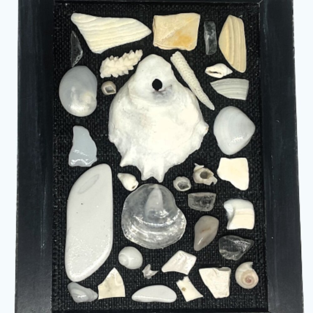 Coastal Symphony in Black and White